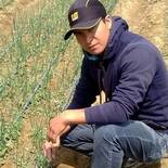 EVALUANDO ALLIUM CEPA