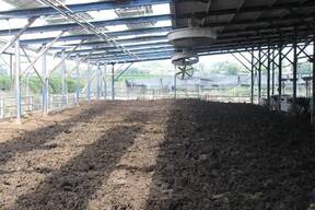 Manejo de camas en establos lecheros especializados