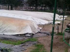 Biodigestores San Miguel Malageuño,Cordoba,Argentina