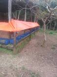 Comederos