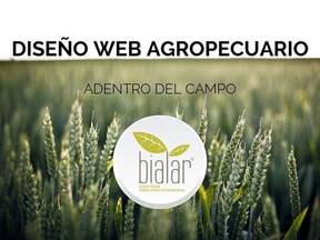 Diseño Web Agropecuario. Adentro del Campo