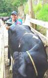 Ecografias reproductivas