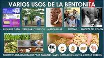 BENTONITA PARA ALIMENTOS BALANCEADOS Y FERTILIZAR TIERRA