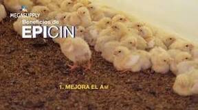 EPICIN®-AW  Probióticos, Licuefactores y Desodorizantes de desechos Animales