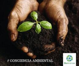 BioAromas es Conciencia Ambiental