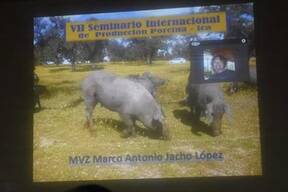 La producción porcina sostenible en La Unión Europea. Ica-Perú