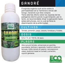 Ganoré