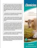 El manejo reproductivo y el encaste en caprinos (3)
