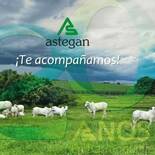 20 años astegan