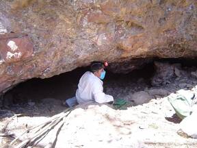 Cueva vampiros.Estado de Morelos