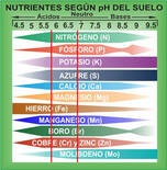 Absorción de nutrientes en base al pH del suelo