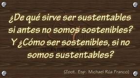 4.- Sostenibles y Sustentables