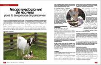 Recomendaciones de manejo para la temporada de pariciones en caprinos