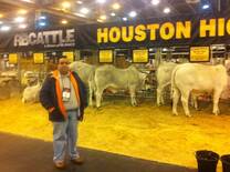 Houston Livestock