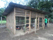 Gallinero rustico de Bambu