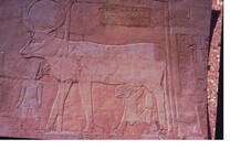 Valle de los Reyes-Egypto