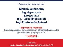 Representante de Ventas en Tucacas