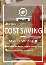 ¡Los ácidos biliares son su mejor opción para ahorrar costos!