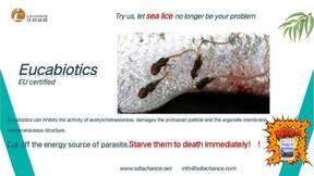 Eucabiotics -A new solution to sea lice