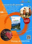 Innovador producto para mejorar el crecimiento y la calidad de carne de ganado bovino