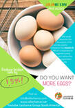 ¡Los ácidos biliares reducen la tasa de rotura de huevos en un 1,5%!