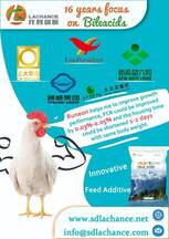 Innovador producto para mejorar el crecimiento de pollos de engorde