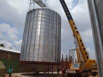 Montaje Silos Proceharinas MAR, VZLA