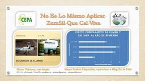 Experiencia uso Zumsil en Araucanía Chile