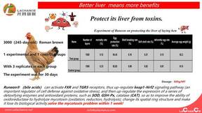 more solution for mycotoxin on poultry