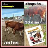 Sal mineral NUTRILOPEZ