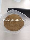 Harina de Atún 55% proteína