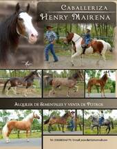 Pauta Caballeriza Henry Mairena