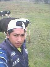 wilmer