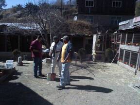 Brindando asesoria a galleros del Municipio de Pueblo Nuevo, Durango