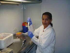 Preparando ADN para PCR