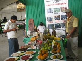 Exposicion en Feria de agrobiodiversidad Amazonica, Iquitos Peru.