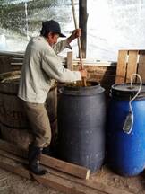 Preparación biofertilizante