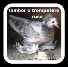 Tompetero Ruso