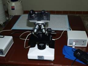 Microscopio  de  contraste  de  fase