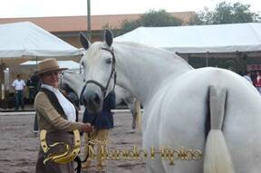 Bonanza Raza PRE 2012 Costa Rica