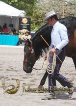 Bonanza Raza PRE 2012 Costa Rica