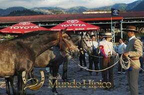 Bonanza Raza PRE 2012 Costa Rica