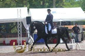 Bonanza Raza PRE 2012 Costa Rica