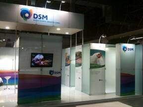 AveSui 2012 - Gerenciamento do evento para DSM Nutritional Products 