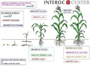 Plan Fertilización Foliar