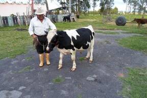 Varias