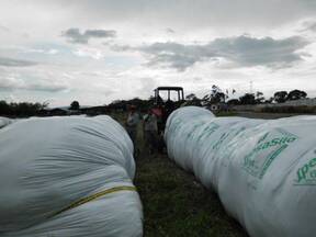 FINALIZACION DE SILO DE MAIZ