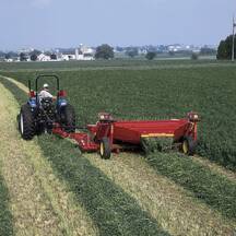 CAMPO AGRICOLA Y GANADERO