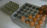 classificador de ovos com bandejas para 30 ovos 
