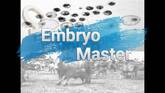 Embryo Master